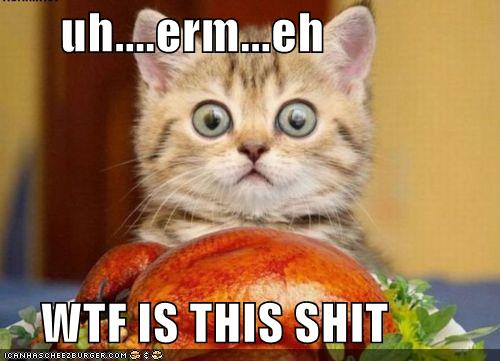 ~WTF%20is%20this%20shit%20kitten.jpg